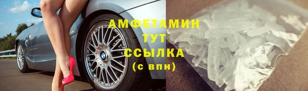 СК Вязьма